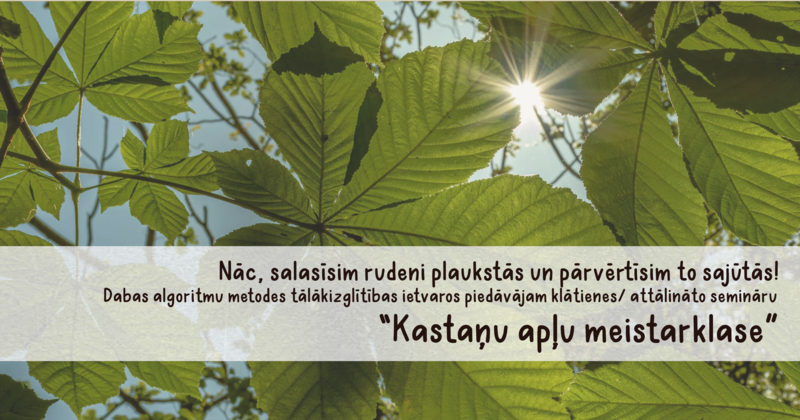Nāc, salasīsim rudeni plaukstās un pārvērtīsim to sajūtās!